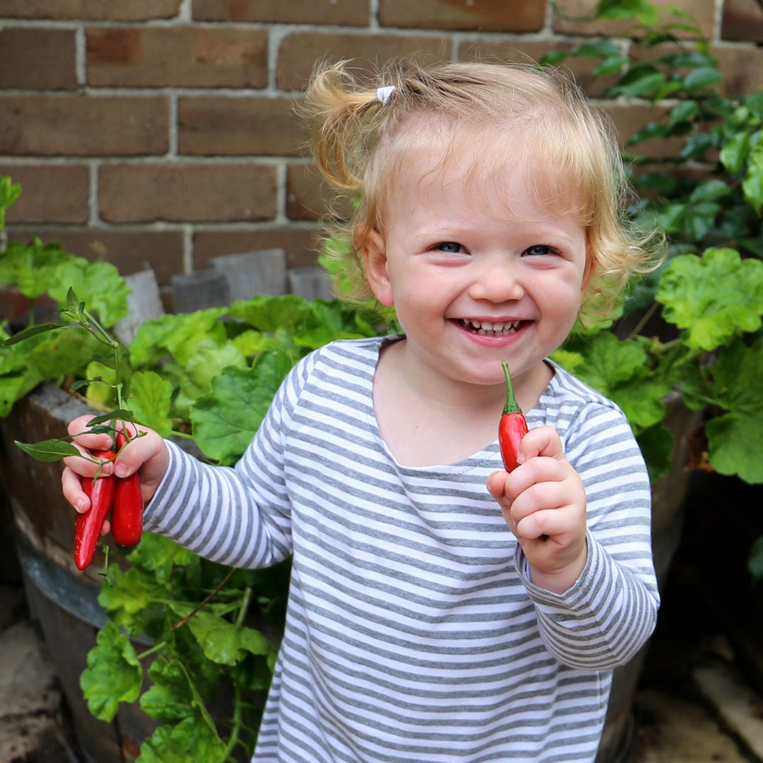 toddler girl wearing grey marle/white stripe long sleeve dress. Ethically made in australia with 100% cotton jersey